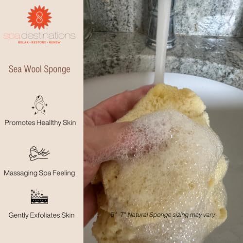 Natural Sea Wool Sponge 4-5" by Spa Destinations ® Amazing Natural Renewable Resource Creating The in Perfect Bath and Shower Experience