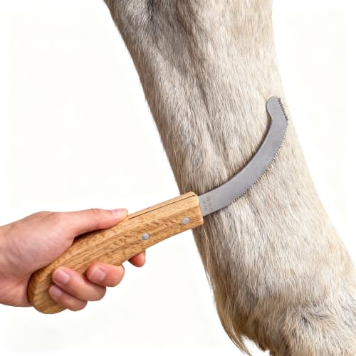 RRumo Bot Egg Knife for Horses, Precision Grooming for Bot Egg Removal Stainless Steel Blade with Wooden Handle Horse Equine Tack Care Farrier Tool