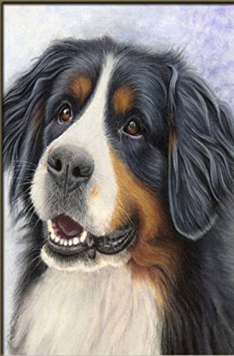 Peinture au diamant 5D Bouvier Bernois complet 30x40 cm