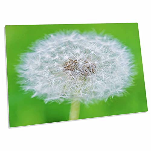 3dRose Almohadilla de Escritorio Blanca 23x16 pulg miniatura 1