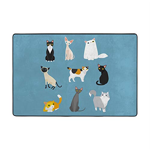 Tapis de grande taille chat bleu à poils longs pour sol stratifié de salon - 3