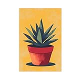 Agave Plant Growing in A Pot...