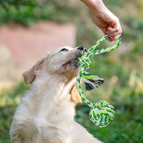 GASAPET Brinquedos de corda para cães grandes para mastigadores agressivos, conjunto de brinquedos p