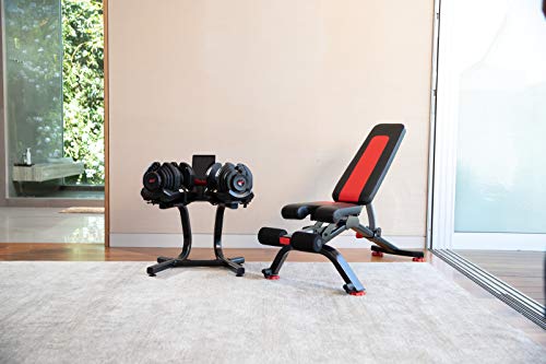 Bowflex-Dumbbell-stand-with-media-rack