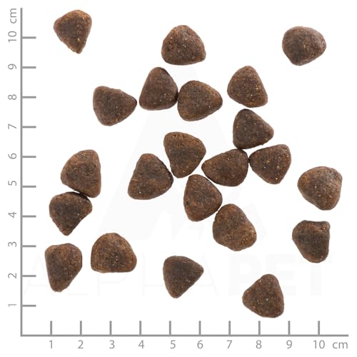 Warnicks Tierfutterservice Wolfsblut Wide Plain mit Pferdefleisch SPARPACK 2x2 Kg
