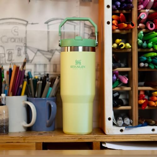 Image of Stanley IceFlow Flip Straw Tumbler with Handle 30 oz | Twist On Lid and Flip Up Straw | Leak Resistant Water Bottle | Insulated Stainless Steel |BPA-Free | Citron