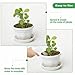 YUNVI 17.6 OZ Large Capacity Artificial Moss for Potted Plants,Natural Fake Moss Grass for Plants Indoor,Craft and Greenery Bulk for Hamsters(Fresh Green)