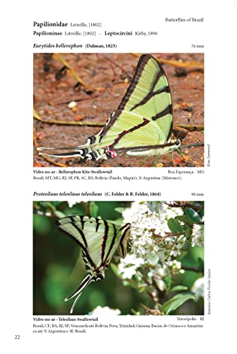Borboletas do Brasil – 3 volumes
