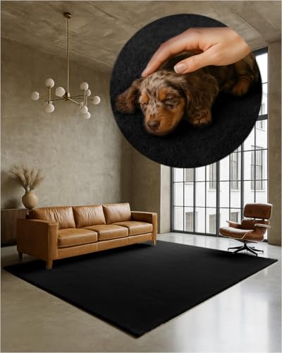 TEXMAXX Weicher Kurzflor Teppich Wohnzimmer mit rutschhemmender Rückseite (140 x 200 cm) - Modern für Flur, Esszimmer und als Schlafzimmer Teppich in Schwarz - Waschbar bis 30 Grad