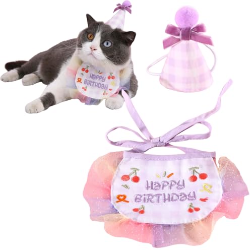 YBGGJO aXq  L 2_Zbg 悾^I HAPPY BIRTHDAY o[Xf[ 悾ꂩ o_i lN^C ߉\ _炩 t  Be ʐ^ av[g p[eB[ (p[v)
