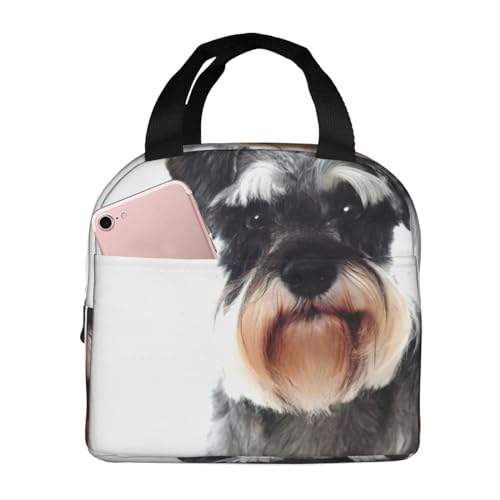 Well-Behaved Schnauzer�v�����g�����`�o�b�O �������� ���ٓ��� �f�M ��� �s�N�j�b�N �ۗ� �ۉ� �y�� �h���ʋC���ϖ��Ր� �|�[�^�u�� �ʋ� �j�����p �ʊw ���� ��e��