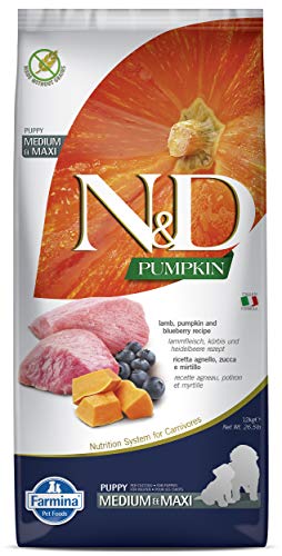 Farmina N&D Pumpkin Puppy Med/Maxi Dog Food | Lamb, Blueberry & Pumpkin |Rich in Anti-oxidants| Complete Food for Puppies | 12kg | No Artificial Preservatives