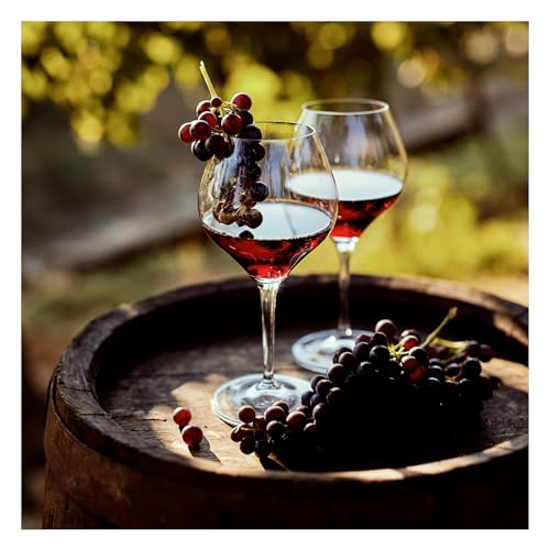STYLER Glasbild Glass Wine | Küche Wandbild Glas Bild | einteilig 30x30 cm Quadratisch | Wein Weinglas Glas Rotwein Trauben Weintrauben | Küchenbild Deko modern vintage