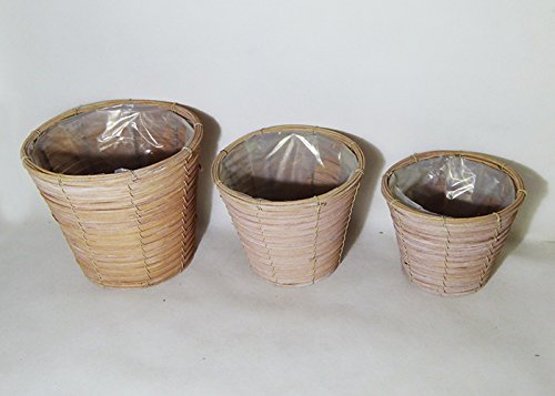 Cachepot Rattan S/3