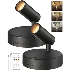 EZVALO Spotlights Indoor with Remote,5500mAh Rechargeable Plant Spotlight Indoor, Wireless LED Uplighting with Timer＆Dimmable, 3CCT,Mini Spot Lights for Painting,Artwork,Accent Lighting(2Pack-Black)
