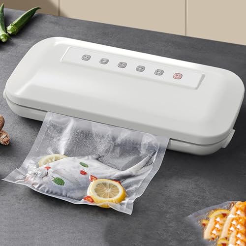 DRYIC Sellador al vacío, sellador de Alimentos de Cocina en Caja para Almacenamiento de Alimentos, seco/húmedo/Sellado/vacío/vacío Externo (White)