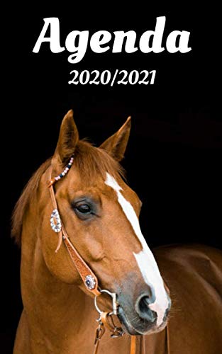 Télécharger Agenda 2020 / 2021: Agenda cheval pour collège et lycée | Organisateur journalier pour planifier e PDF Ebook En Ligne