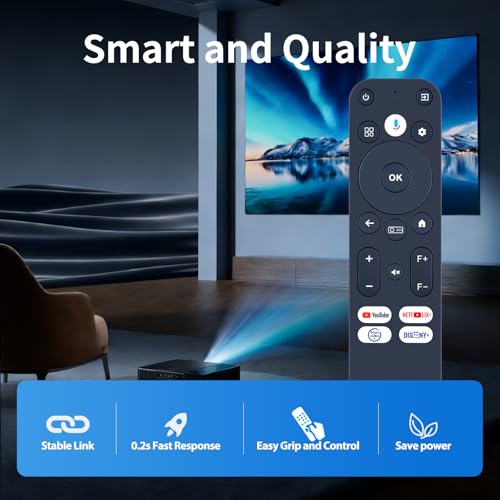 Télécommande vocale ZWP remplacez votre télécommande perdue de projecteur ETOE - 3