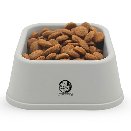 Image of Foodie Puppies Cat Food and Water Feeder - 150ml (Grey Quadrant) | Durable, Anti Vomiting, Healthy Cat Bowl for Persian Cat Prevent Tipping Over | Elevated Feeder for Cats and Small Dogs