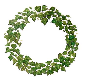 English Ivy Vine Rub On Transfer Mural Wall Tattoo 4 Sheets Of Ivy #TOP3