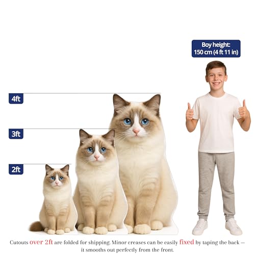 Image of Cat 3FT Life Size Cardboard Cutout - A Fun Animal Standup for Photo Booths, Birthday Parties, and Events