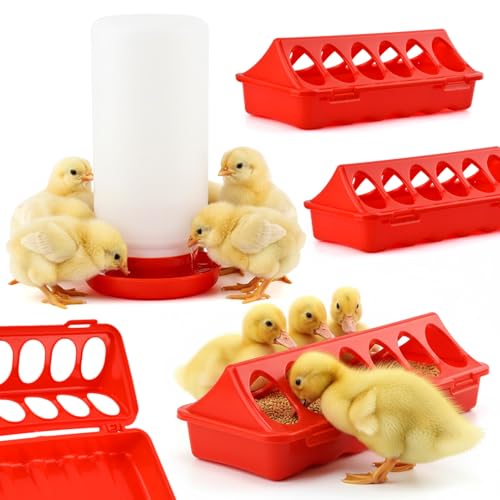 4PCS Chick Feeder and Waterer Kit 312-Hole Trough Feeders and 1 Low-Spill Chicks Waterer Baby Chick Starter Kit for Small Poultry Chicks Ducks Quail Pigeons Birds