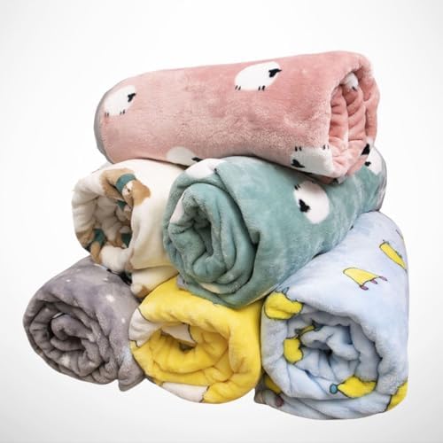 7 erros comuns nos primeiros cuidados com pet que você precisa evitar hoje 10 Manta Cobertor Pet para Cachorro Gato 100x70cm Mantinha Microfibr...