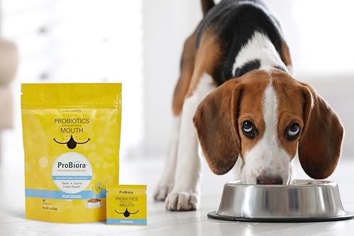 Probiora for Dogs | Dog Probiotic Supplement for Oral Care | Pet Probiotics to Reduce Bad Breath | Dog Nutritional Supplement for Dental Health | 30 Servings (Pouch) - Image 3