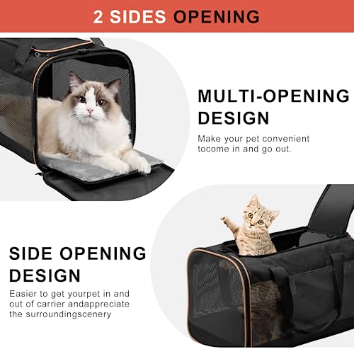 Cinnani hundetasche, Hunde transporttasche Umhängetasche, ideal für Reisen, robust, langlebig, aus hochwertigen Materialien,Schwarz
