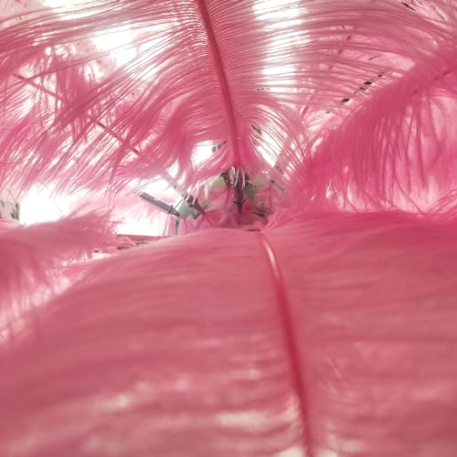 Image of Harold Electricals Modern Pink Ostrich Plumes Chandelier |Creative Feather Dulight Ceiling Pendant Light for Bedroom Living Room Dining Area Cafe Hotel Photography Prop - Bulb Included