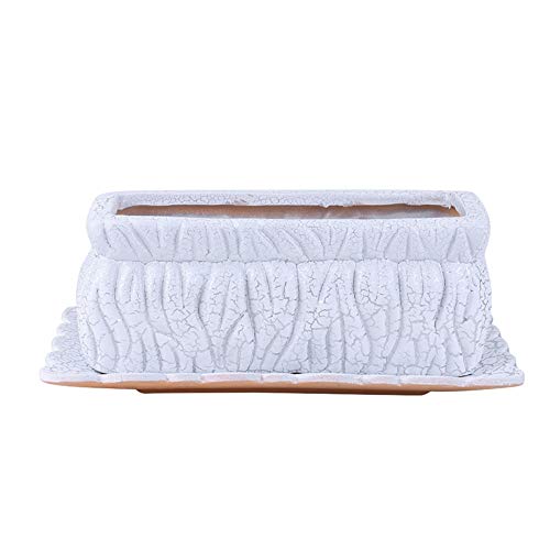 Pots de fleurs en céramique YRYRYW rectangulaire pour décoration de bureau élégante