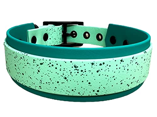 Collier pour Chien en BioThane décoré, Largeur Grande, Coloris au Choix (45-55 cm, Teal/Vert caribéen) Cover