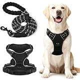 YGVQN Pettorina per Cani Taglia Media con 1.8M Guinzaglio, Comfortevole per Labrador, Gold...