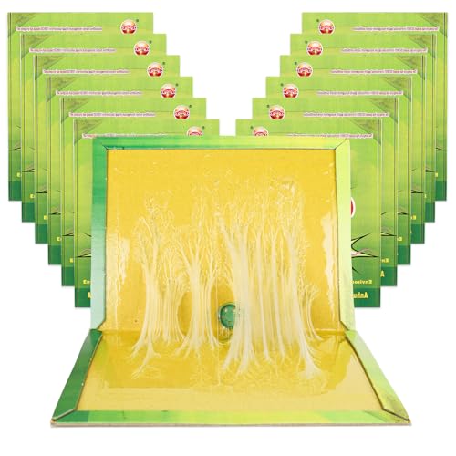 FONYA 10 Piezas Trampas Atrapar, 31.5 CM x 21 CM Pegamento Trampas, Trap, Trampas para Grandes Interior