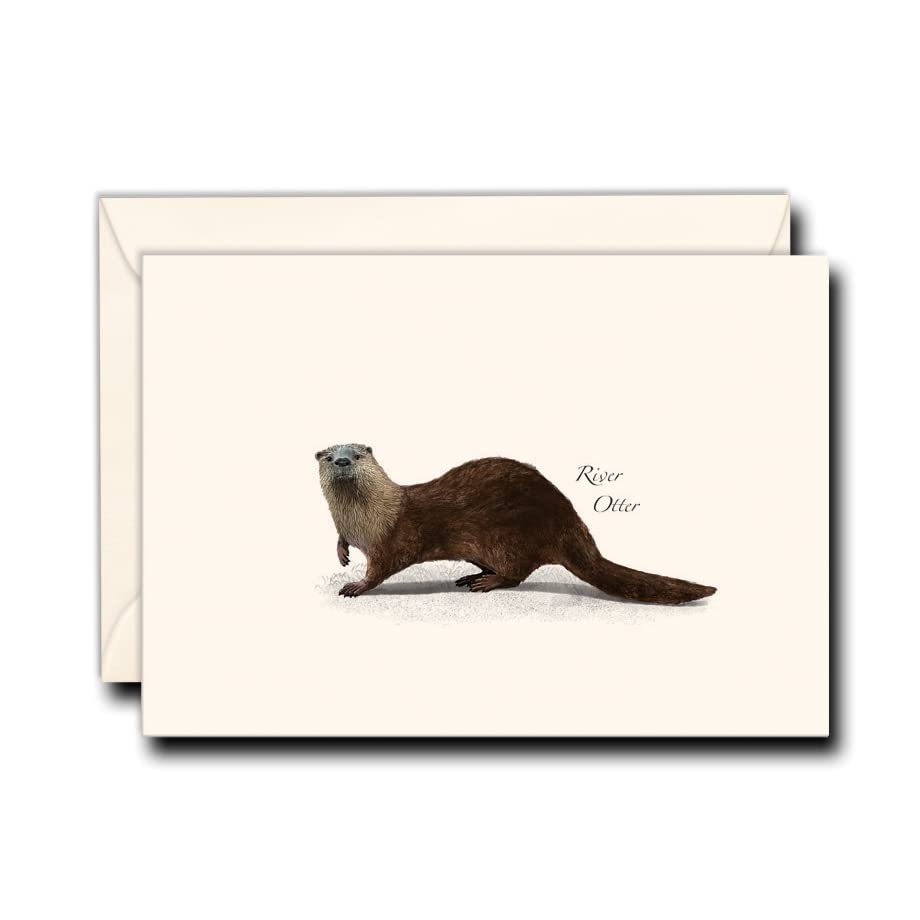 Earth Sky + Water - River Otter Notecard Set - 8 Blank Cards with Envelopes