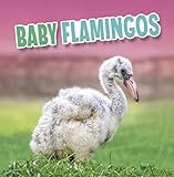 Raintree Baby Flamingos (Baby Animals).