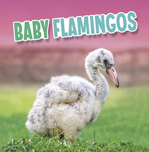 Raintree Baby Flamingos (Baby Animals).