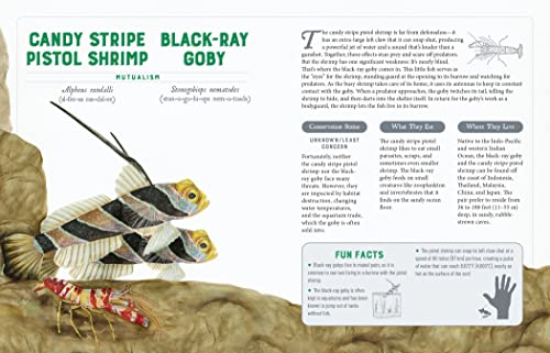 A Curious Collection Of Wild Companions: An Illustrated Encyclopedia Of Inseparable Species (Curious Collection Of Creatures) #TOP3