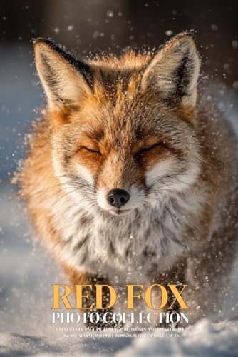 Red Fox Photo Collection: Clever Full-Page Pictures of Red Foxes and Kits for All Ages (Calming Wildlife Books), with Amazing Facts