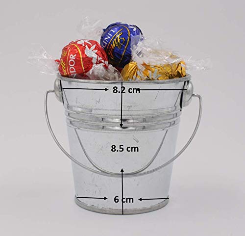 Goldenvalueable Mini Metal Buckets 3.3 Inch Pails For Kids Party Gift And Gardening, Pack Of 12 #TOP4