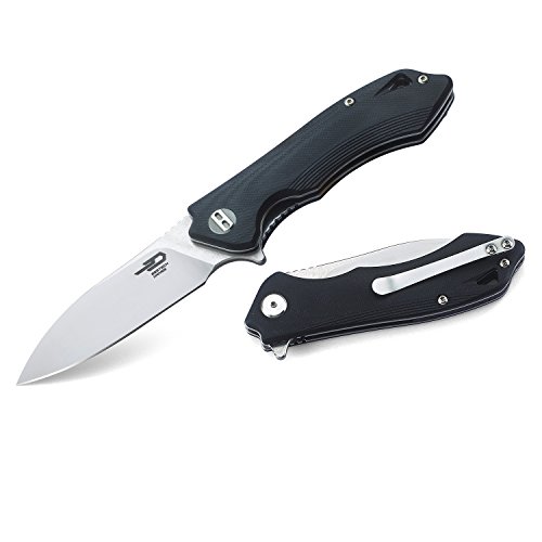 BESTECH KNIVES Beluga Linerlock Black, BTKG11A2-BRK