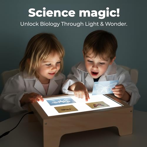 image for bopoobo Light Table for Kids -Sand Painting Light Box All-in-One Sandb