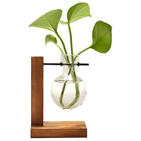 LINGNI Plant Terrarium, Transparent Vase with Wooden Stand, Glass Bulb Vase, Flower Propagation Station, Creative Hydroponic Planter for Coffee Shop Room Decor (A(1 bulb vase)) Cover