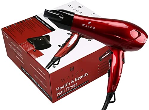 Professional Ionic Hair Dryer 1875W DC Motor Lightweight Blow Dryer Low Noise 2 Speeds and 3 Heat Settings with Concentrator