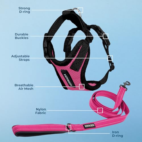 Image of Best Pet Supplies Voyager Step-in Lock Pet Harness w Reflective Pet Leash Combo Set with Neoprene Handle 5ft - Supports Small, Medium and Large Breed Puppies /Cats - Fuchsia /Black Trim Set, L