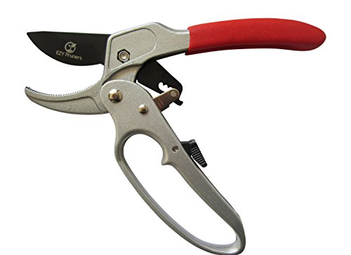 Ratchet Pruning Shears - Sharp Garden Hand Pruners - Easy Ratcheting Action - Best Anvil Gardening Secateurs for Small to Medium Jobs - Simple to Lock or Unlock - 100%
