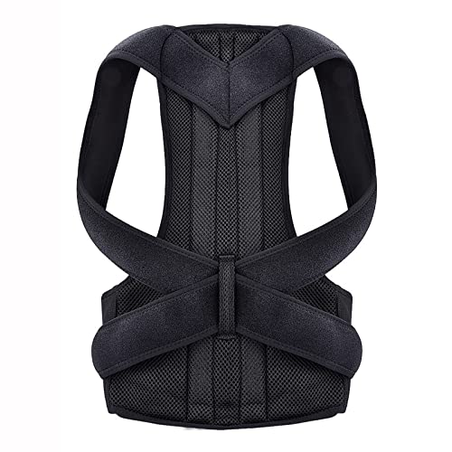 �����j���p�o�b�N�u���[�X�p���������u - �{�f�B�E�F���l�X�p���������u�A�w���������u�A���߉\�Ȕw�����p���������u�A��l�p�w���㕔�T�|�[�g�u���[�X (S) (S) charitable