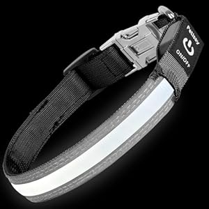 PetIsay Dog Light up Collar with Metal Buckle – Ultimate Reflective LED Dog Collar Rechargeable/Waterproof – Glow in The Dark Dog Collars for Night Walking, Camping, Foggy Weather(White,Medium)