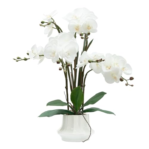CXGS Planta de orquídea artificial de 20.9 pulgadas, orquídeas sintéticas de tacto real en jarrón de cerámica, arreglo floral de Phalaenopsis falsa blanca, orquídeas de seda con tallos para centro de