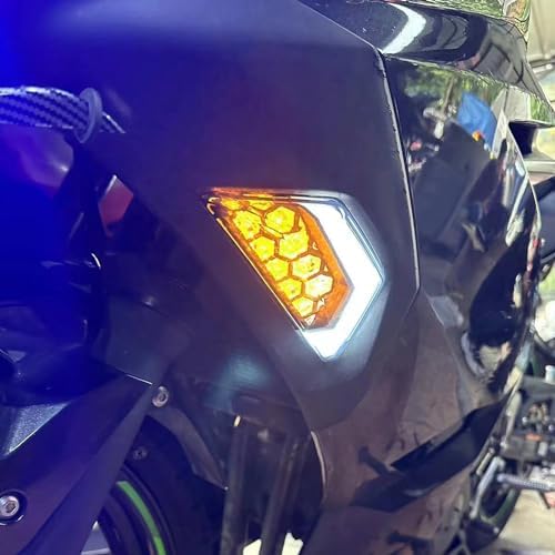 Amazon.com: Motorcycle E-Mark LED Front Turn Signals Blinker